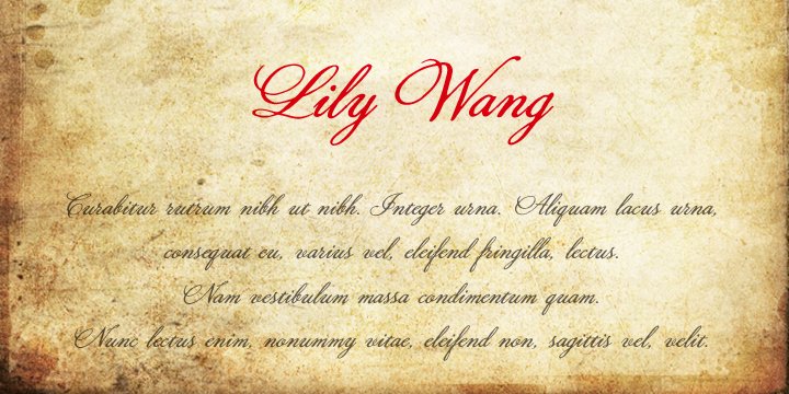 lily wang